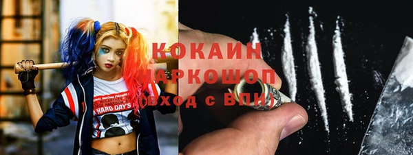 ПСИЛОЦИБИНОВЫЕ ГРИБЫ Бородино