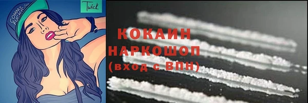 ПСИЛОЦИБИНОВЫЕ ГРИБЫ Бородино