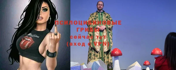 дживик Бугульма