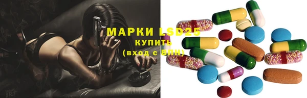 ПСИЛОЦИБИНОВЫЕ ГРИБЫ Бородино