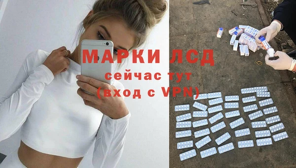 ПСИЛОЦИБИНОВЫЕ ГРИБЫ Бородино