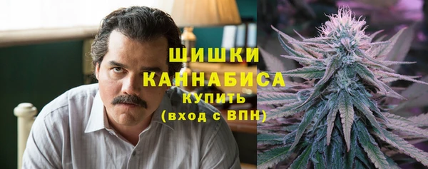 ПСИЛОЦИБИНОВЫЕ ГРИБЫ Бородино