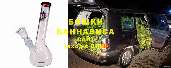 шишки Бронницы