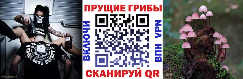 гидра вход  Выборг  Псилоцибиновые грибы MAGIC MUSHROOMS  продажа наркотиков 