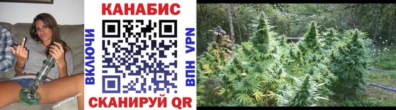цены   Выборг  OMG ТОР  Бошки Шишки OG Kush 